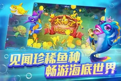 查看更多