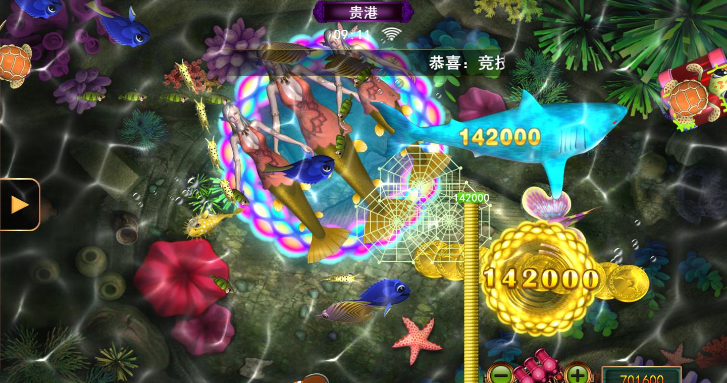 2.钓鱼金蟾哪里卖？